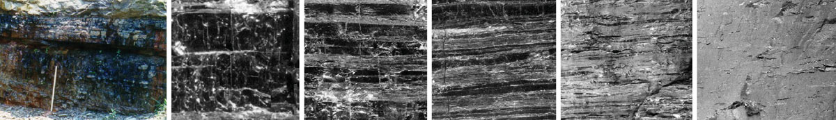 Coal Type Lithotype banner